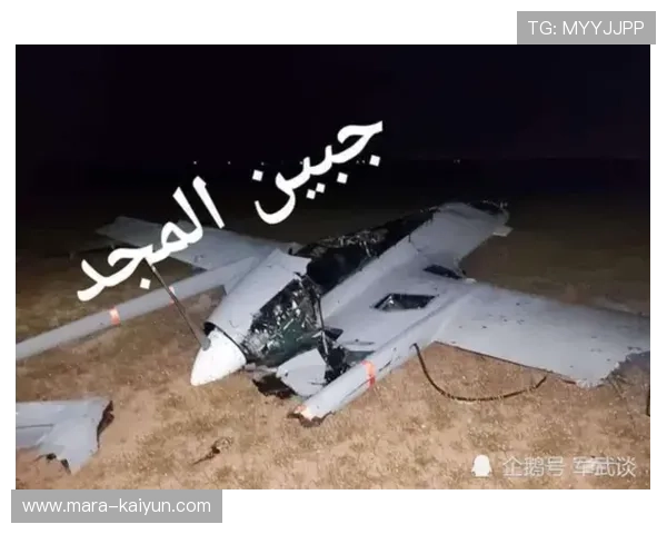 附加赛生死签：意大利、丹麦、土耳其、乌克兰落入第一档